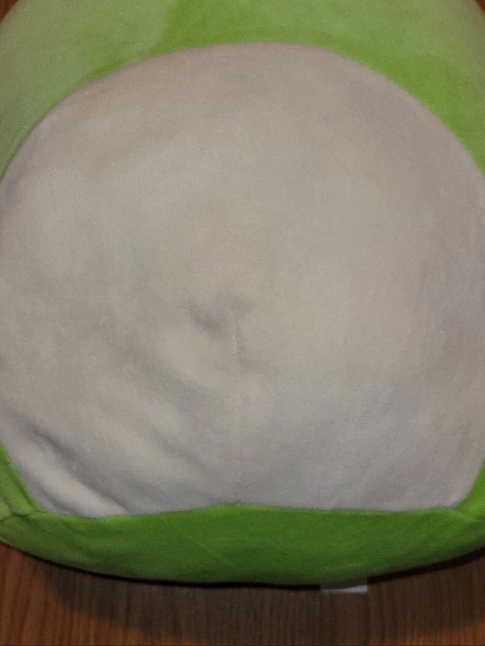 Squishmallows 14” Wendy the Frog Green Plush Kellytoy CUTIE Clean No Tag